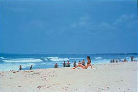 CLICK HERE! the  ocean fronts 23 miles of beaches in the  greater Daytona  Beach area